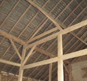ant-timber-frames