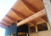timbers-fredricksburg-02